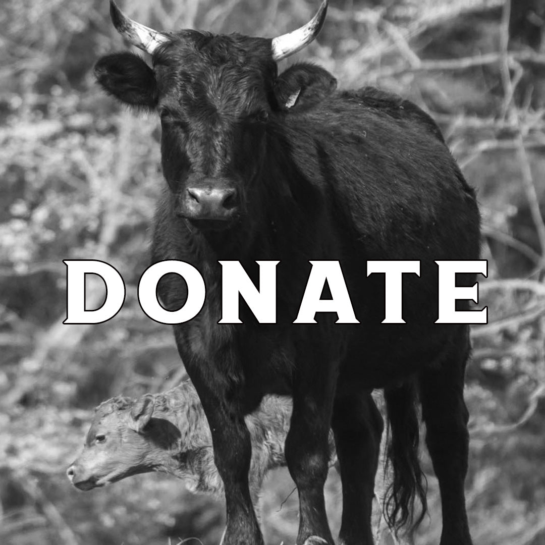 Support Algiere Ranch
