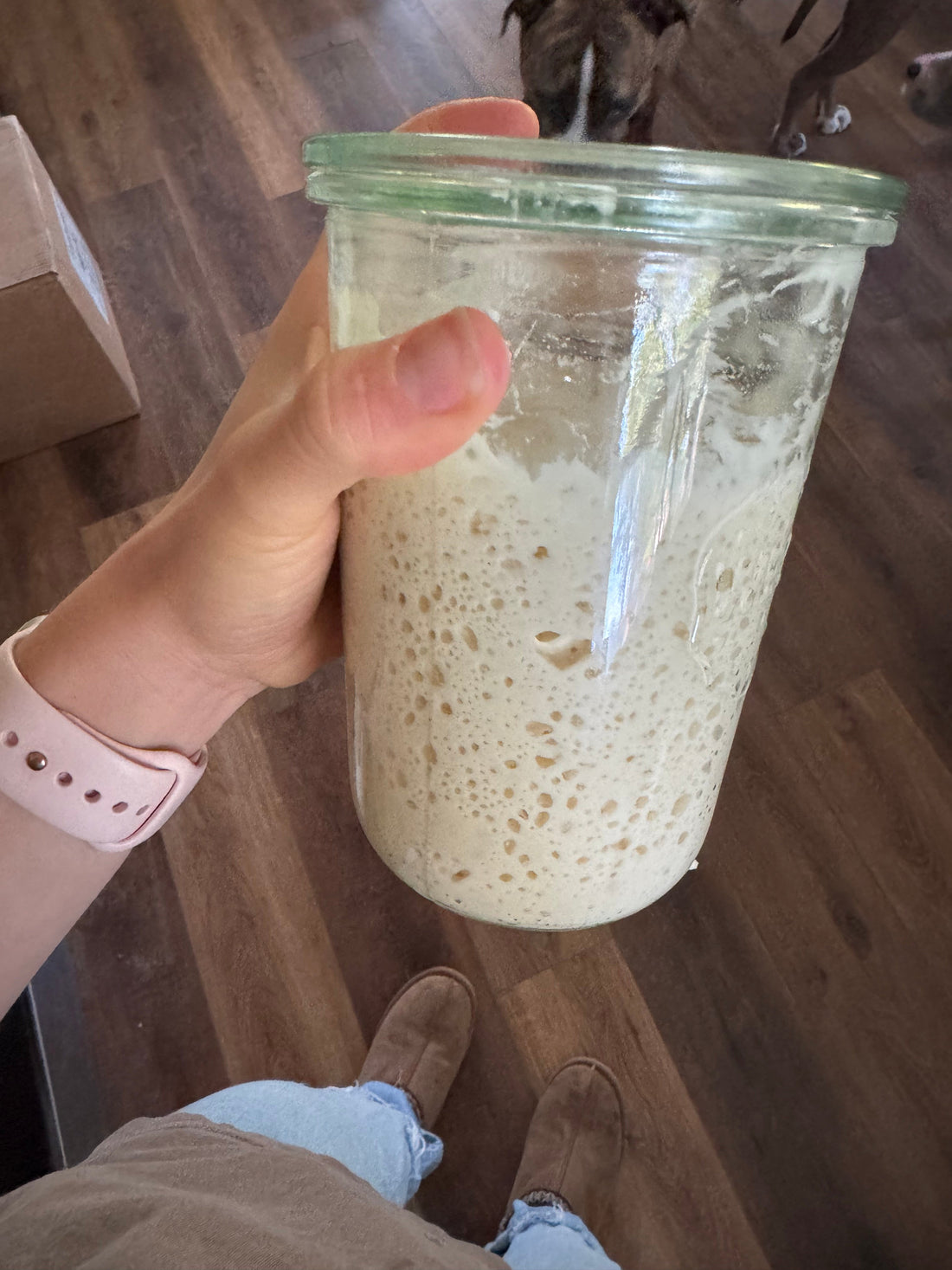 How to Start Your Own Sourdough Starter | Step-By-Step
