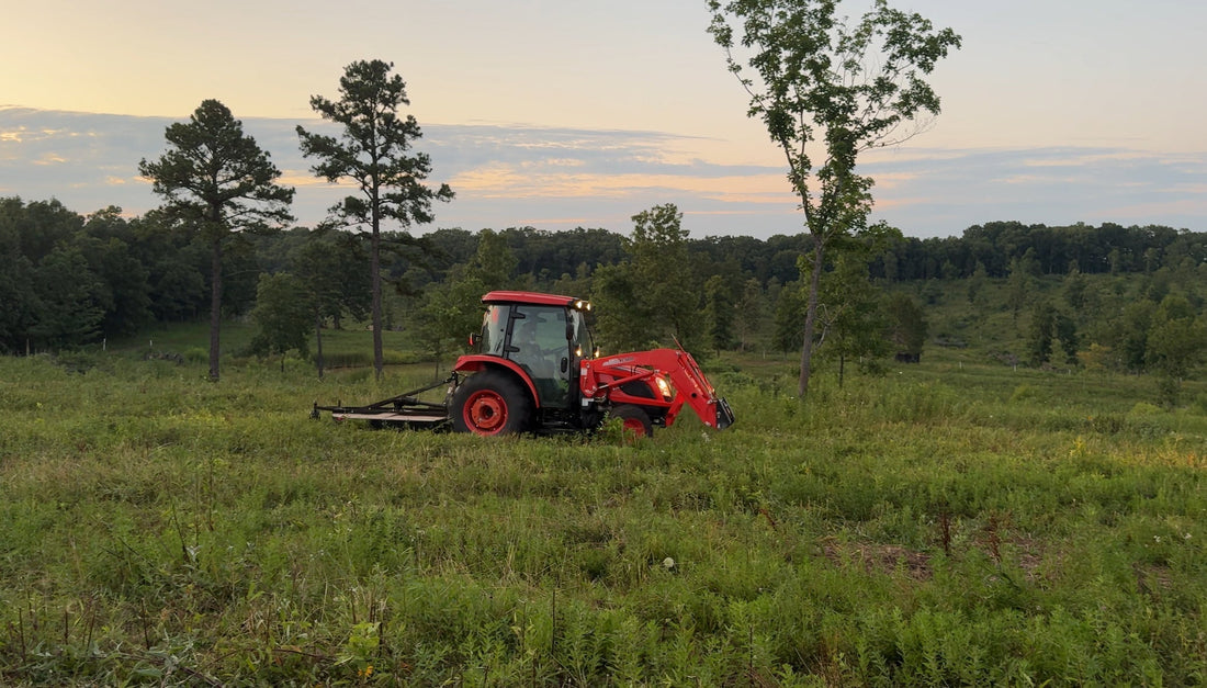 Clearing 80 Acres: The Messy, Honest Reality of Turning Woods Into Pasture