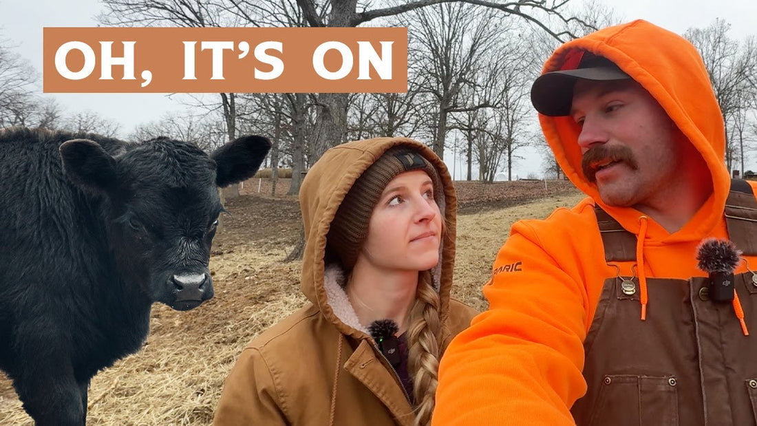 Jay and Charlotte standing beside a black cow on the ranch in winter clothing
