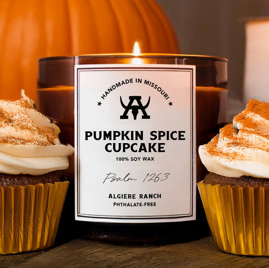 Pumpkin Spice Cupcake Soy Wax Candle | 16oz