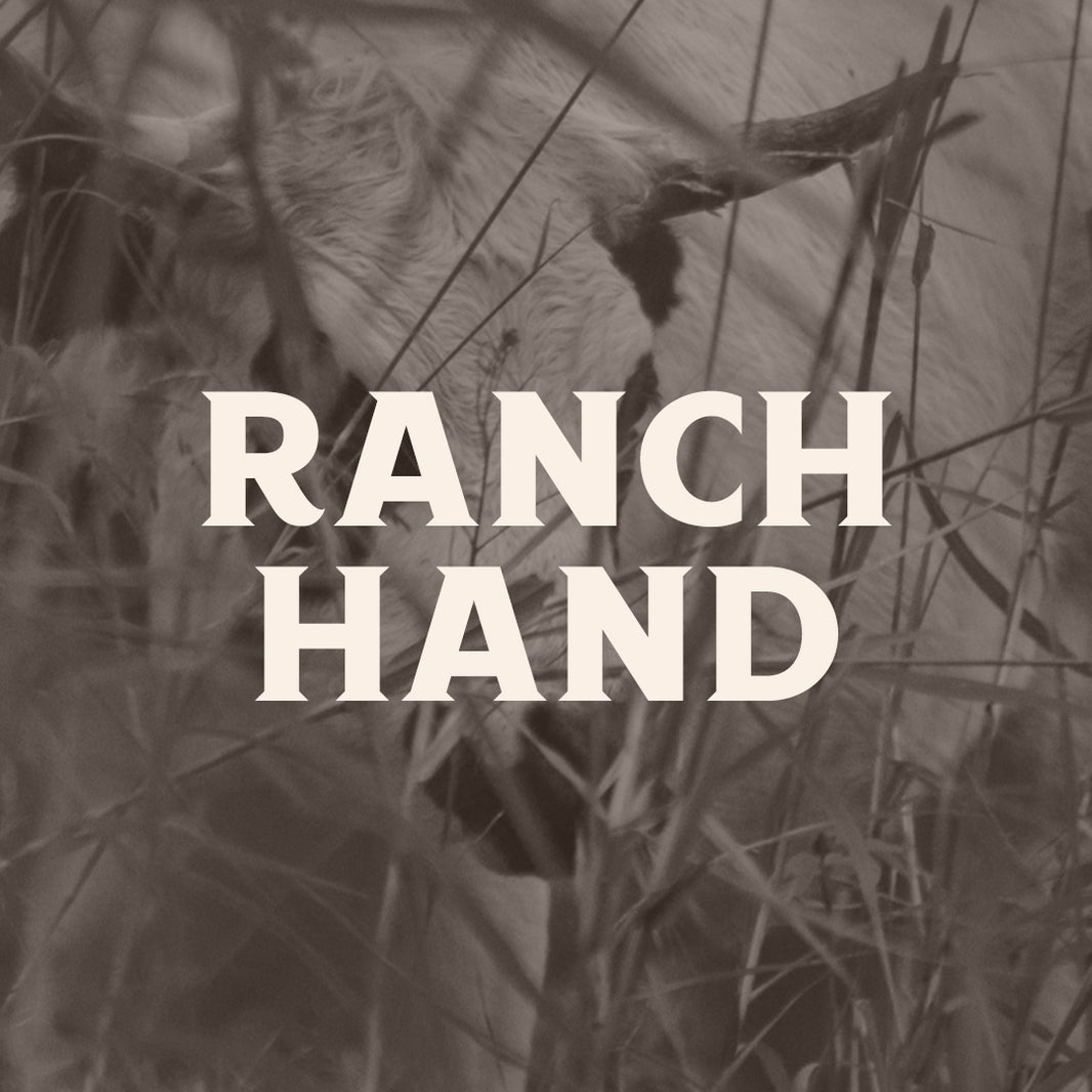Join the Ranch Family – Algiere Ranch