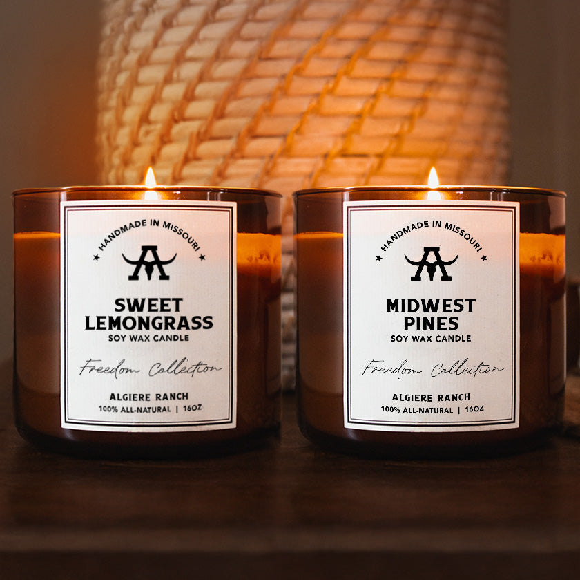 Midwest Pines + Sweet Lemongrass Candle Duo | 16oz (Each)